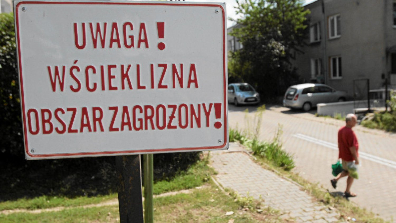 Wścieklizna nadal jest realnym zagrożeniem