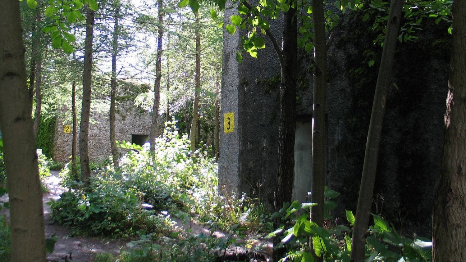 W kompleksie bunkrów w Mamerkach dokonano nowych odkryć. Czy tam jest ukryta Bursztynowa Komnata?