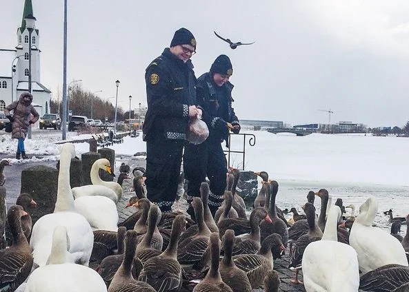 Policja może być sympatyczna - taki wizerunek kreują na Instagramie islandzkie służby mundurowe.