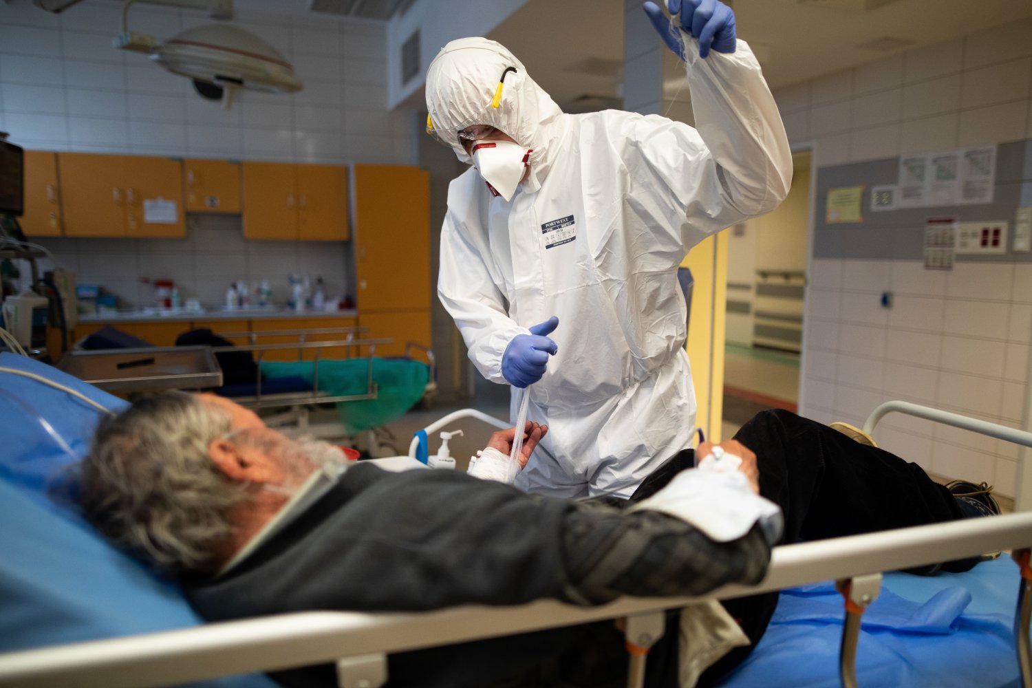 Przeciwciała monoklalne - za pomoca "koktajlu" z nich złożonych planuje się leczyć pacjentów z koronawirusem.