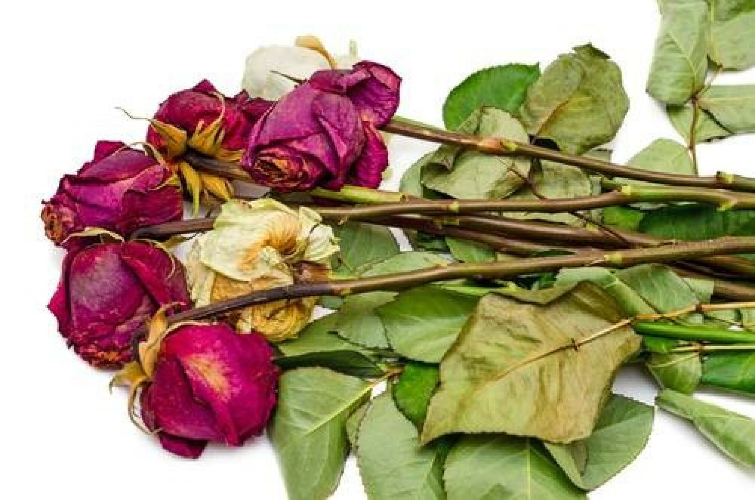 Podpowiadamy, gdzie wyrzucać ziemię, stare kwiaty czy gałęzie.