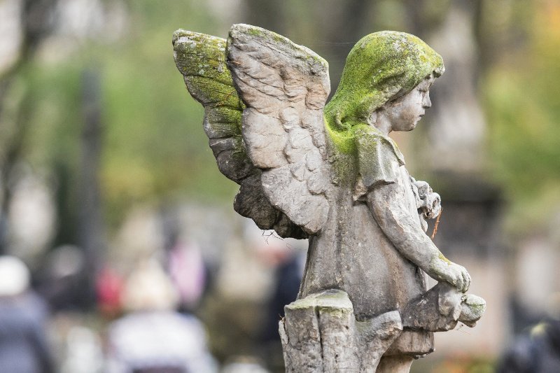 Zdjęcie poglądowe.