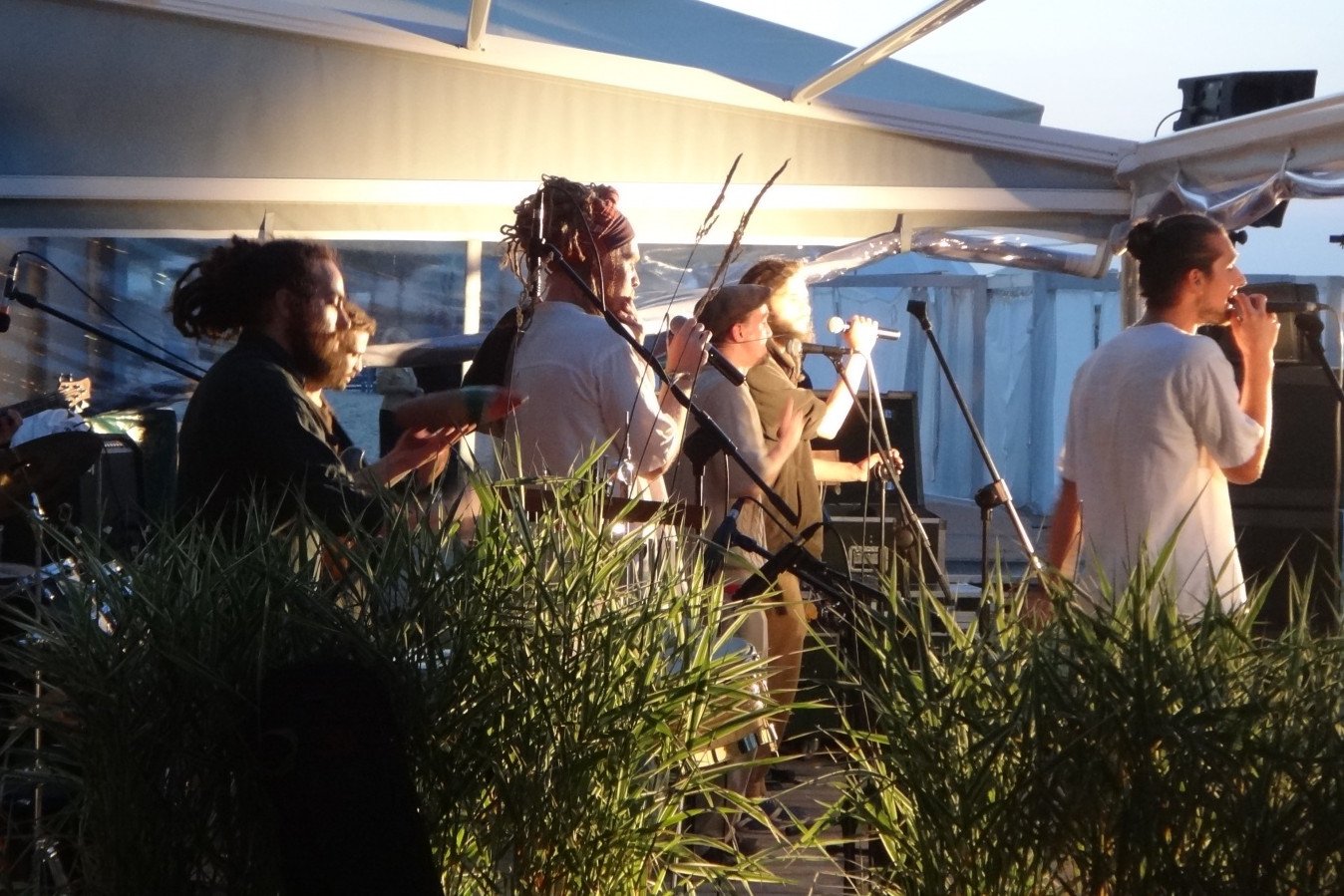 Koncert w zatoce sztuki