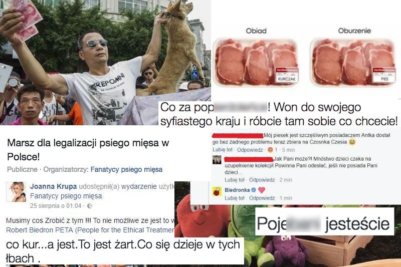 Wierzymy niemal we wszystko co jest w internecie. A trolle zacierają ręce.