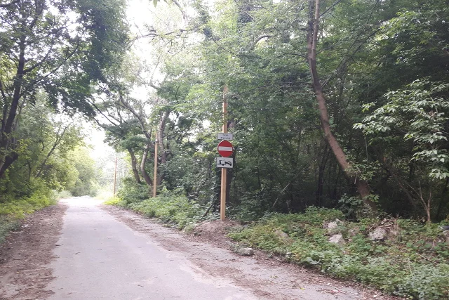 Do ośrodka jedzie się przez "las", rozciągający się między pierwszą, a drugą bramą. Skutecznie odcina ośrodek od głównej ulicy.