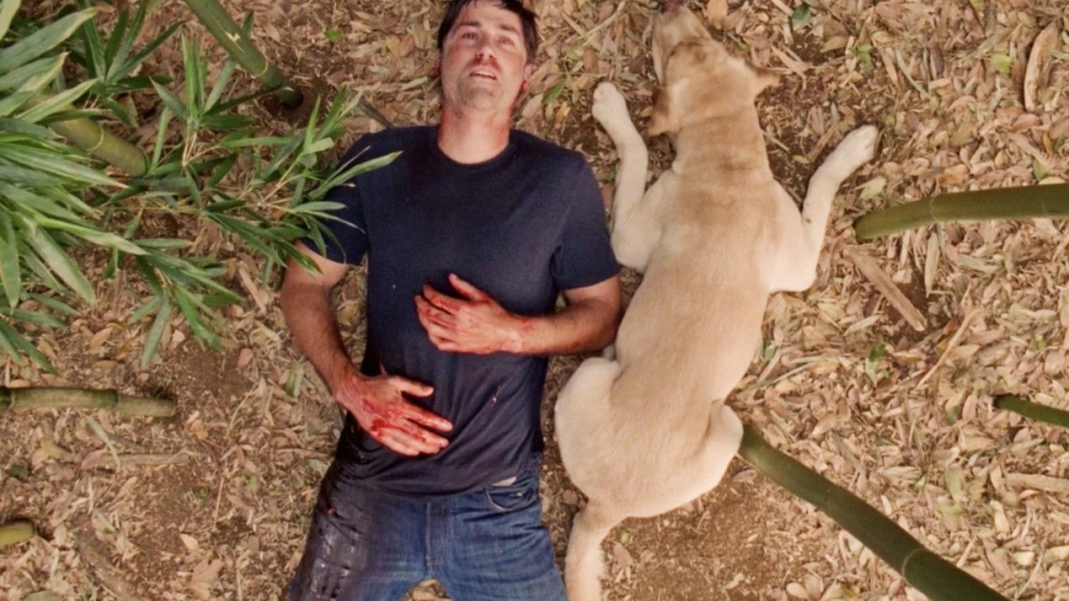 Wyjaśniamy, jak zakończył się serial "Zagubieni" ("Lost"). Jack Shepard z serialu "Zagubieni" ("Lost").