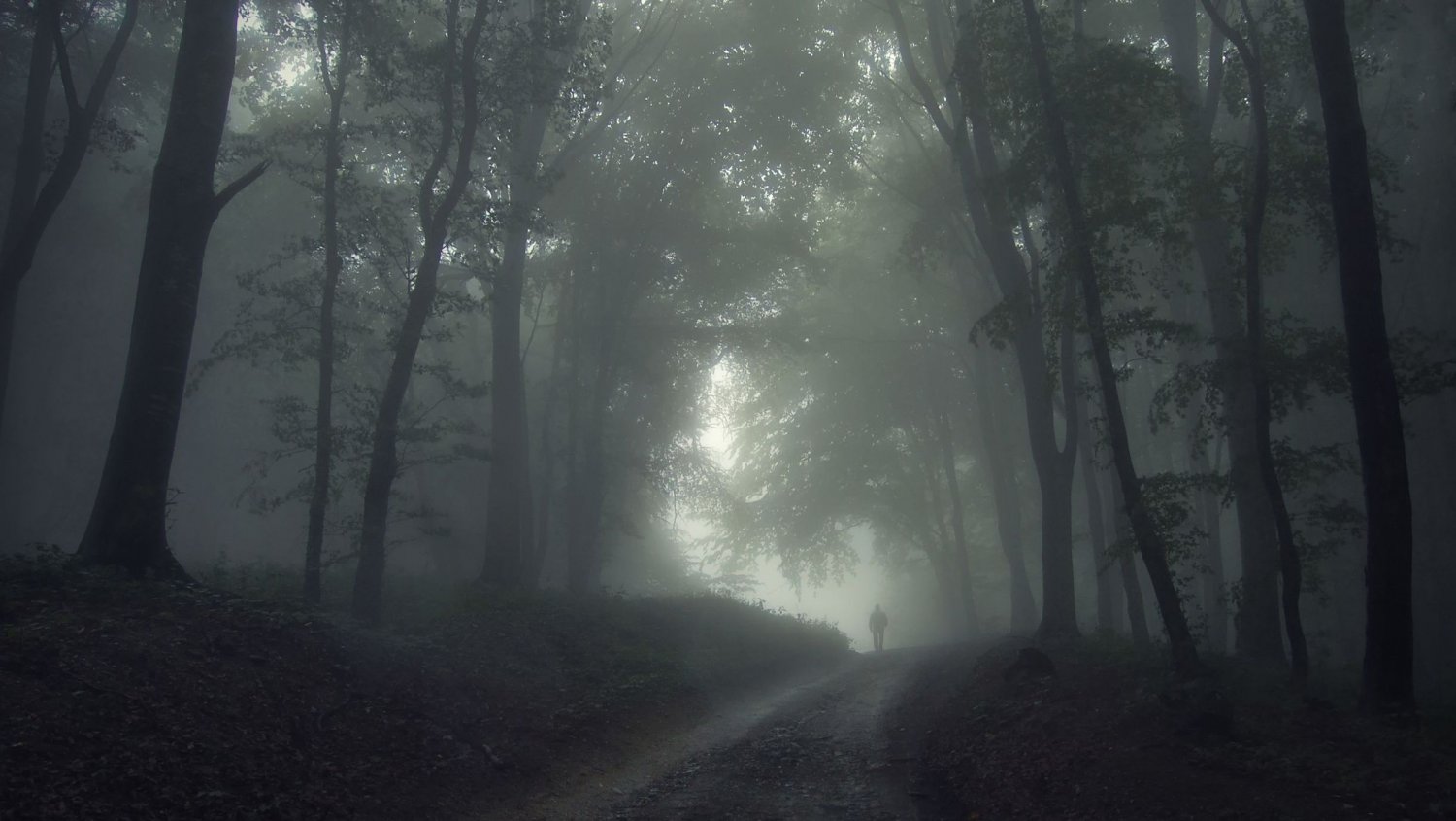 Daj się wciągnąć w mroczny literacki świat kryminałów...
