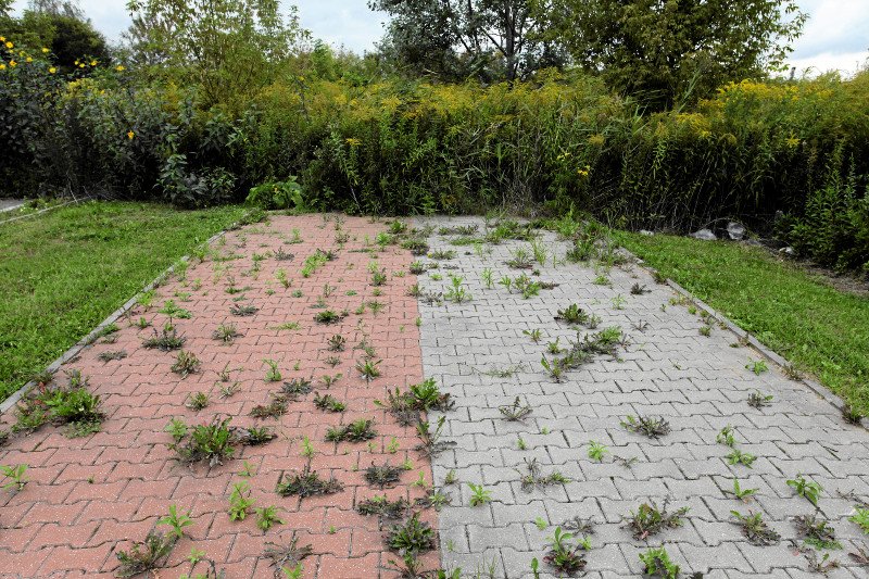 Kostka Bauma to symbol biedy lat 90. Dziś jest szczytem obciachu. "To wrzód chodników"