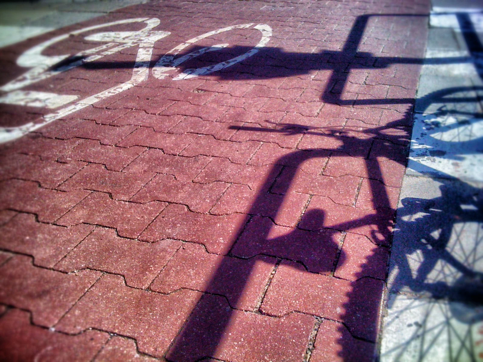 na ścieżce rowerowej