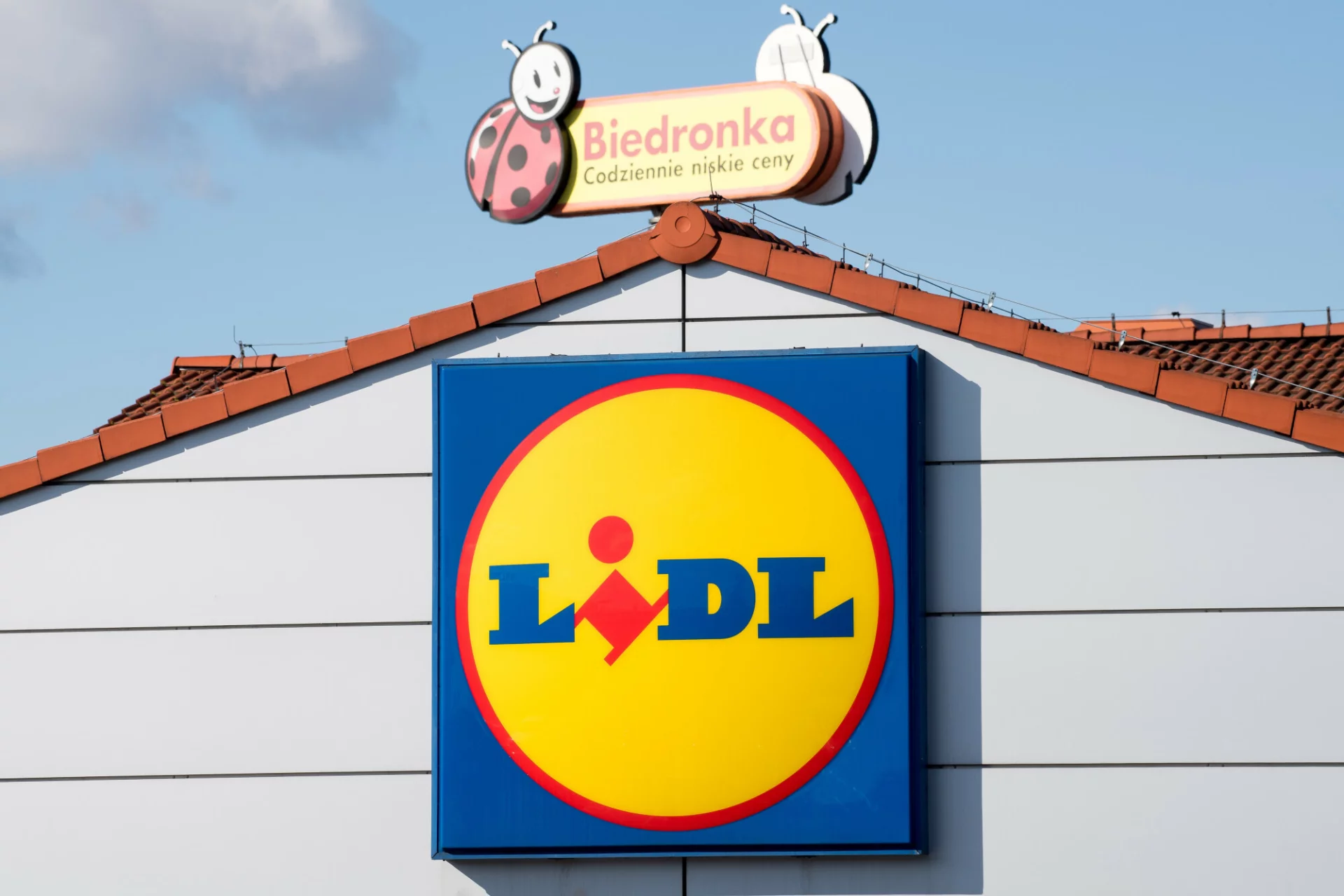 Promocja na chemię w Lidlu i Biedronce. Płyn Ludwik i tabletki Fairy kupimy o wiele taniej