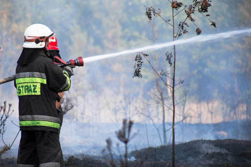 Na Mazowszu pożar strawił conajmniej 40 ha lasu.