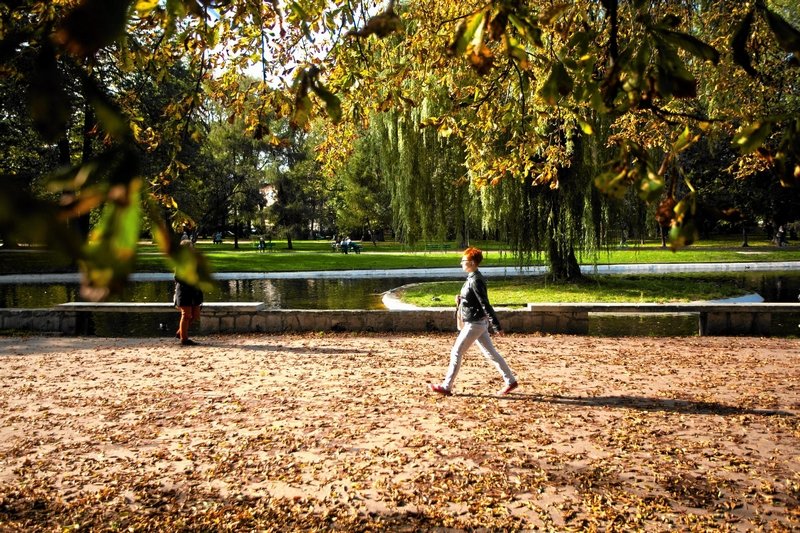 Wstępna prognoza pogody na październik 2020 r.