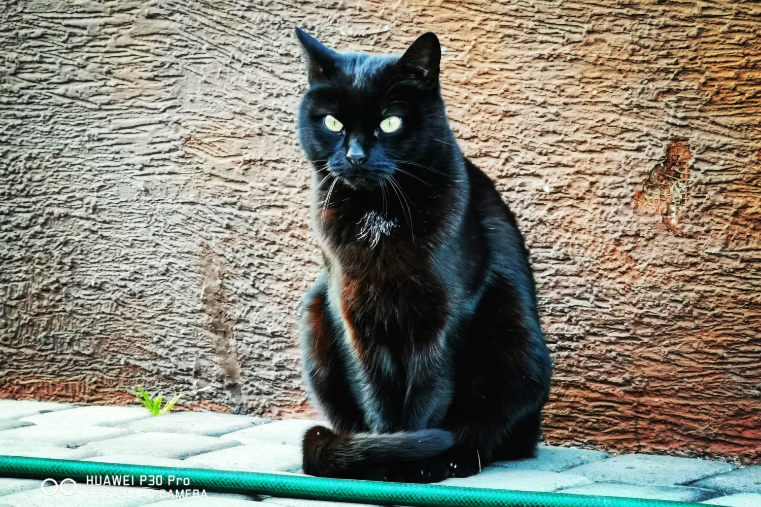 Zdjęcie wykonane smartfonem Huawei P30 Pro.