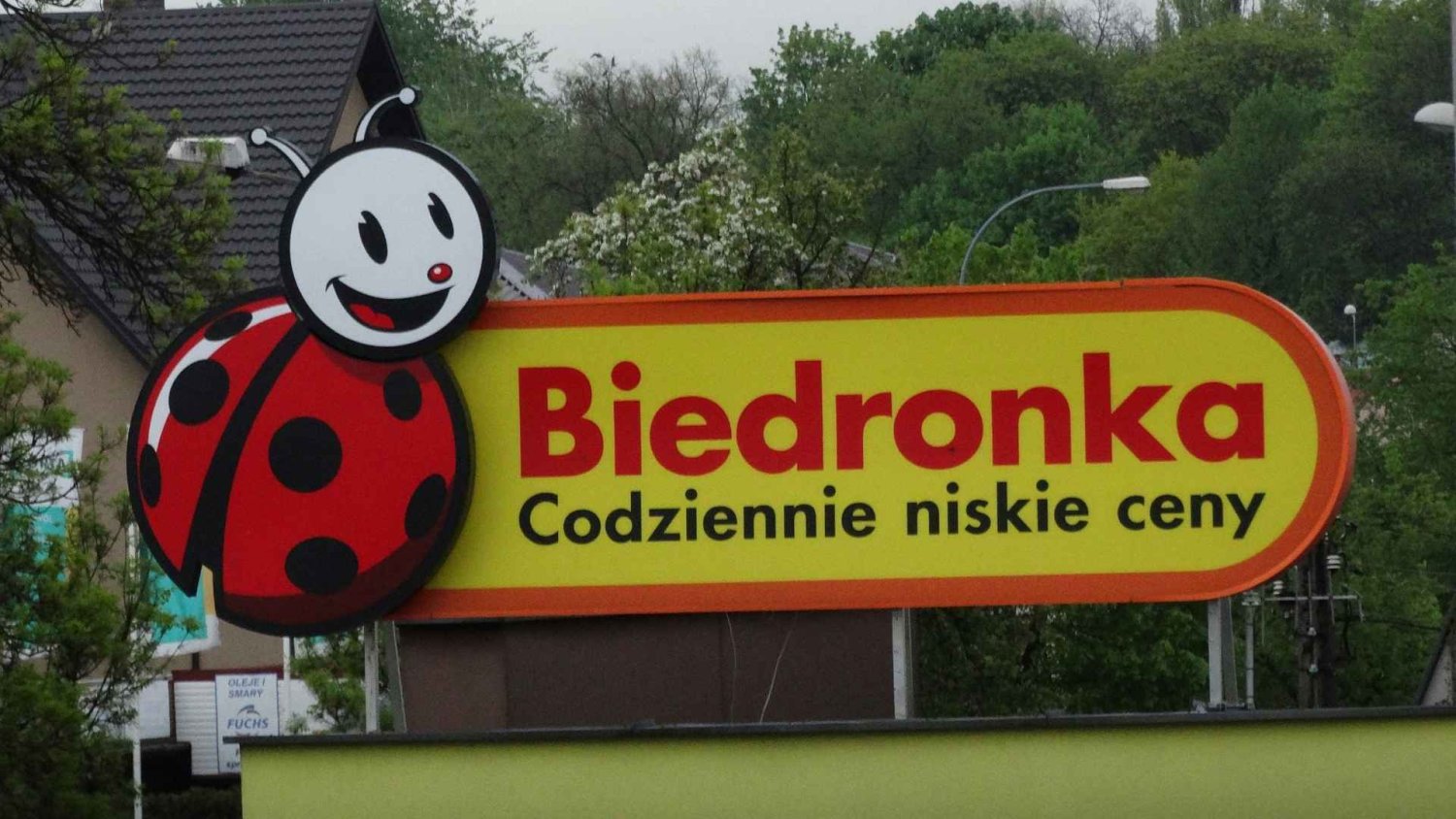 Biedronka z ważnym komunikatem przed 11 listopada. Sieć wprowadza zmiany