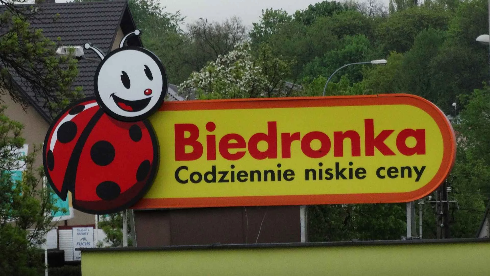 Biedronka z ważnym komunikatem przed 11 listopada. Sieć wprowadza zmiany