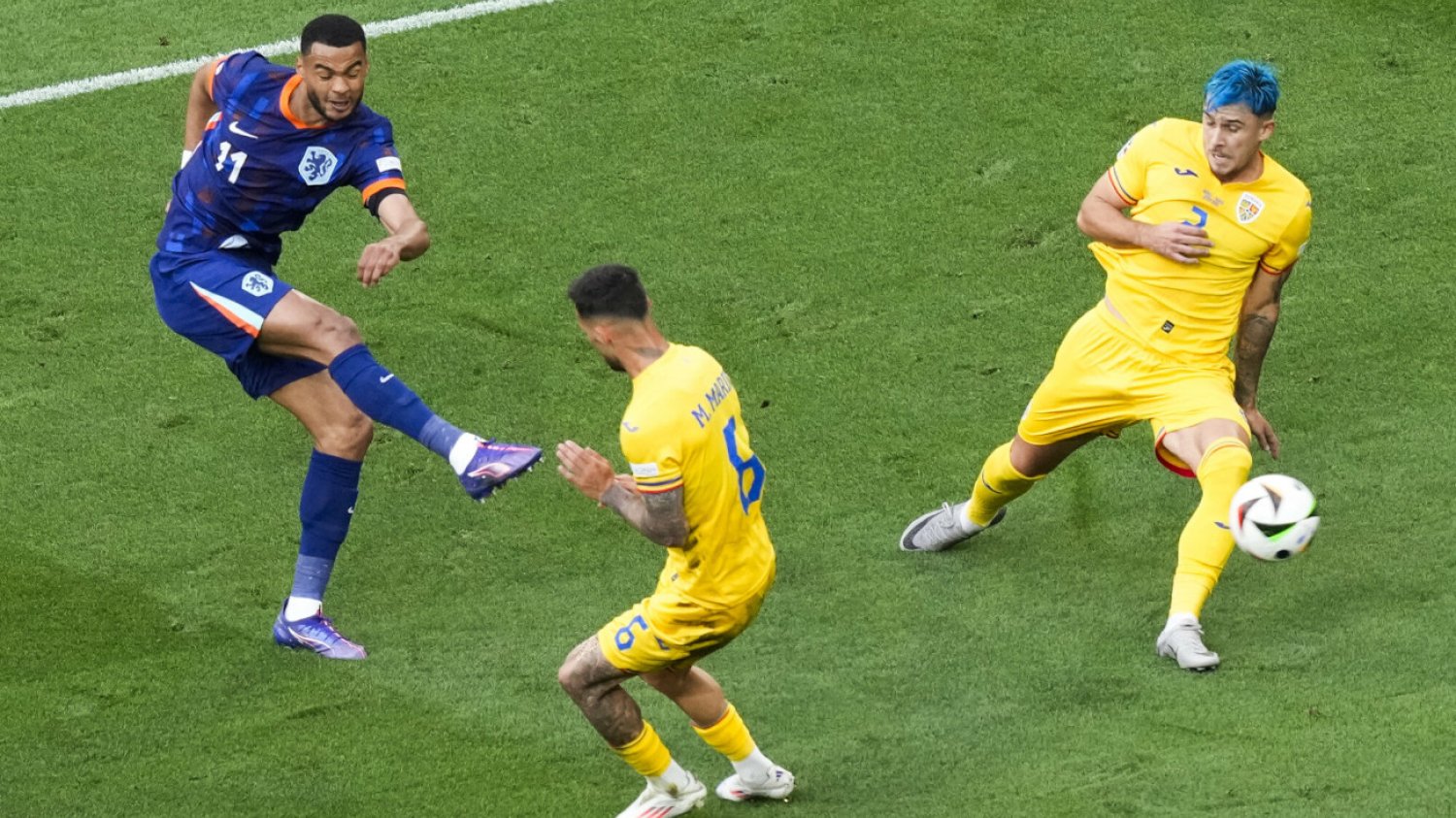Cody Gakpo (na niebiesko) na co dzień gr w Liverpoolu