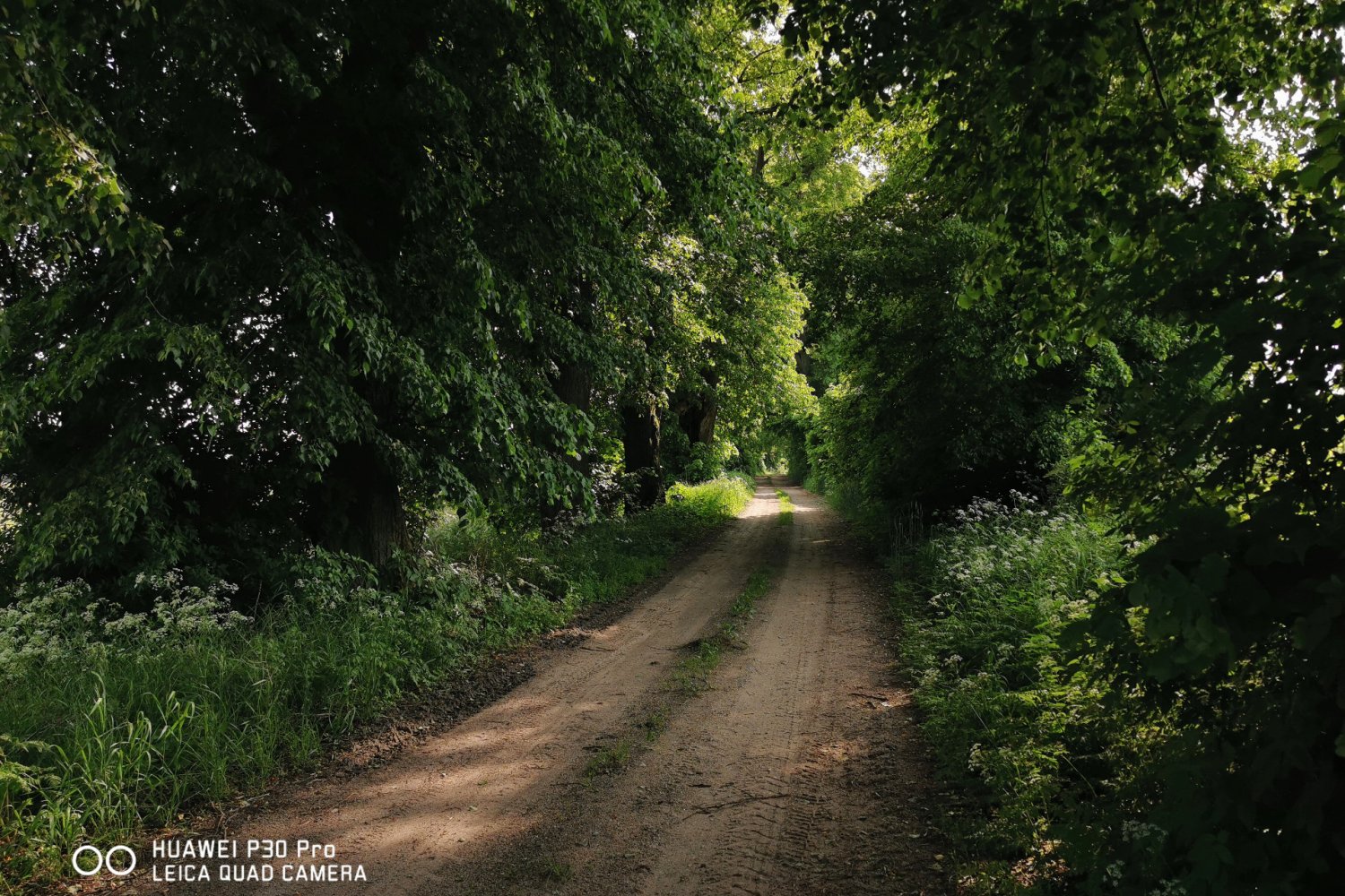 Zdjęcie wykonane smartfonem Huawei P30 Pro.