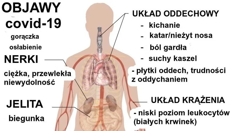 Objawy covid-19 (przy różnych postaciach choroby ze zmiennym nasileniem).