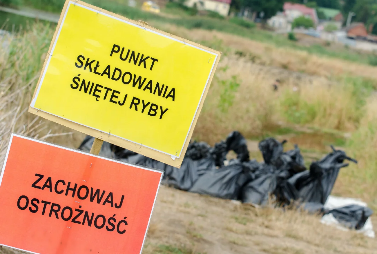 Kiedy zakaz polowań nad Odrą? Posłanka Hołowni interweniuje o Morawieckiego