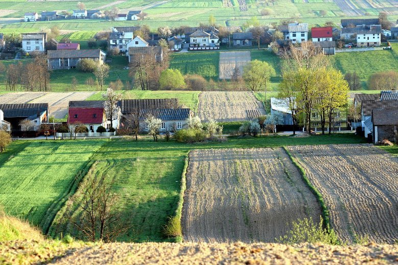 "Co wy w Krakowie, we Wrocławiu wiecie o prawdziwym życiu?", "Jedźcie na prowincję, to zobaczycie prawdziwe życie" – takich pytań Eliza Michalik ma już dość.