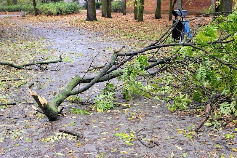 Orkan Grzegorz nad Wrocławiem.