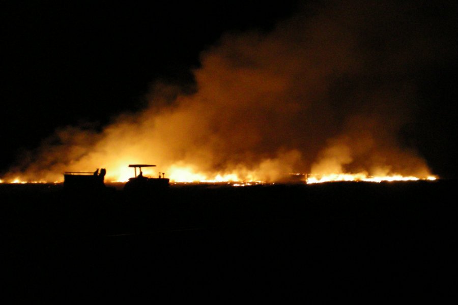 NASA pokazała dwa zdjęcia z australijskiej Wyspy Kangura, która została spalona przez pożary w ponad 30 proc.