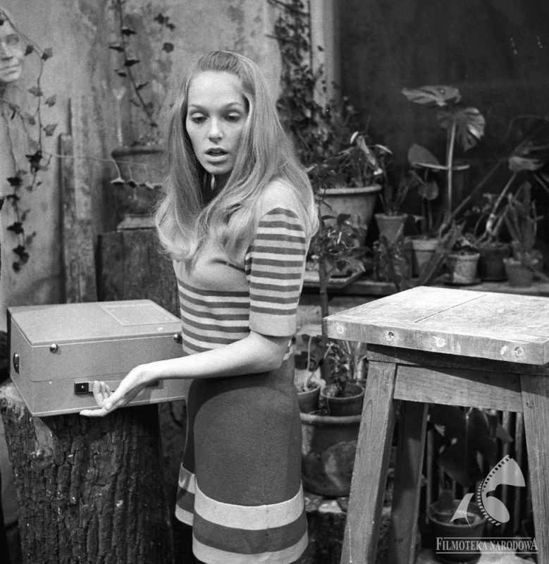 Małgorzata Braunek