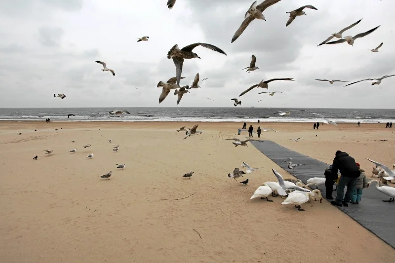 W tym roku plaża z pewnością będzie oblegana przez polskich turystów