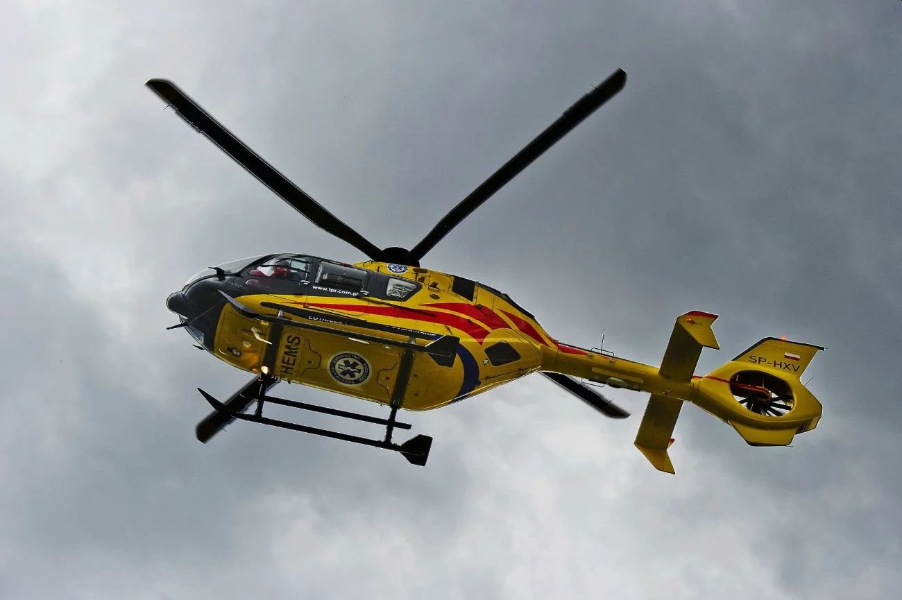 2-latek włożył rączkę do maszynki do mięsa.