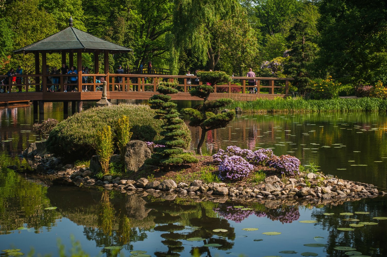 Na zdjęciu jeden z najpiękniejszych parków w Polsce: Park Szczytnicki z Ogrodem Japońskim we Wrocławiu