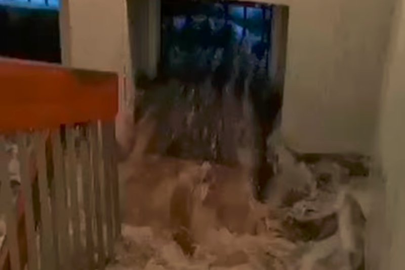 Skutki nawałnic w Tarnowskich Górach są usuwane