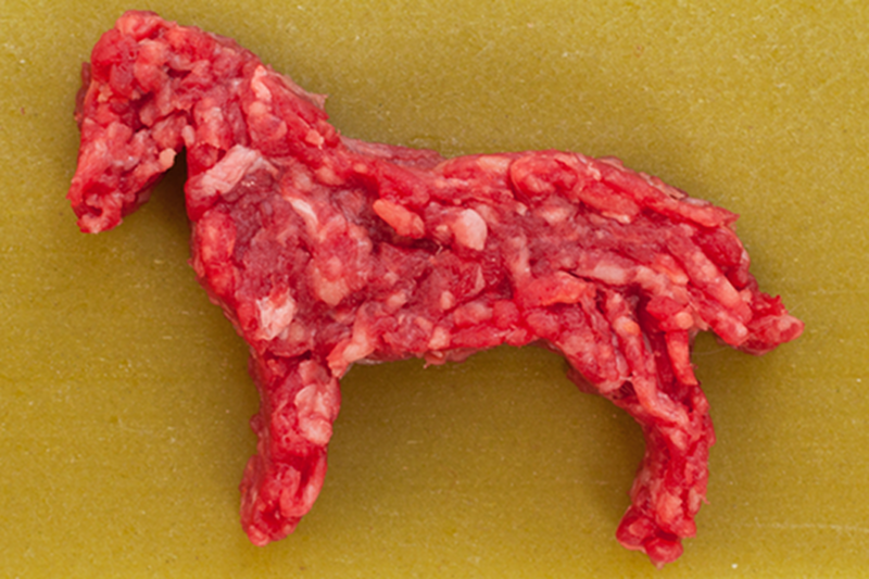 Czy Polacy powiedzą coś na temat procesu "uzdatniania" wołowiny koniną?