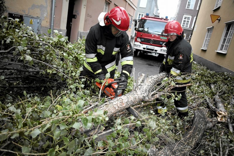 Wiatr halny nie tylko powoduje wiele zniszczeń, ale wpływa też na złe samopoczucie meteoropatów. Kiedy wieje, ludzie stają się nerwowi, częściej popełniają przestępstwa i samobójstwa.