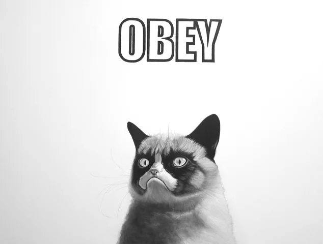 Grumpy Cat autorstwa Michała Torzeckiego