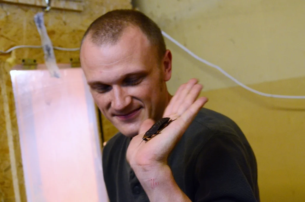 Niektóre owady są spore, ale z bliska wcale nie takie straszne.