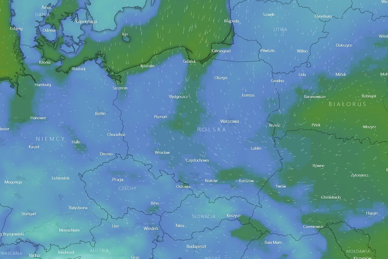 Pierwszy śnieg w Polsce spadnie już w tym tygodniu.
