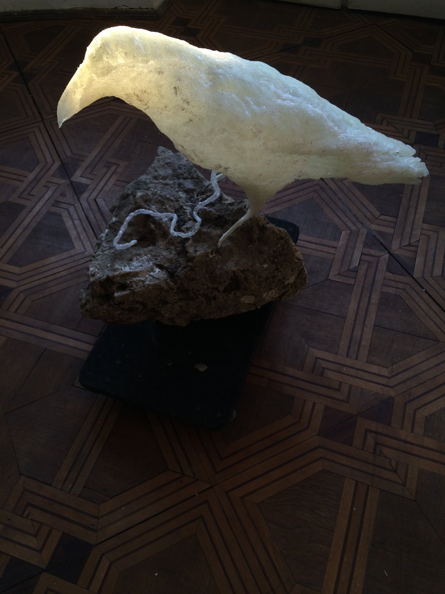 Biała Kruk / White She Raven, 2016