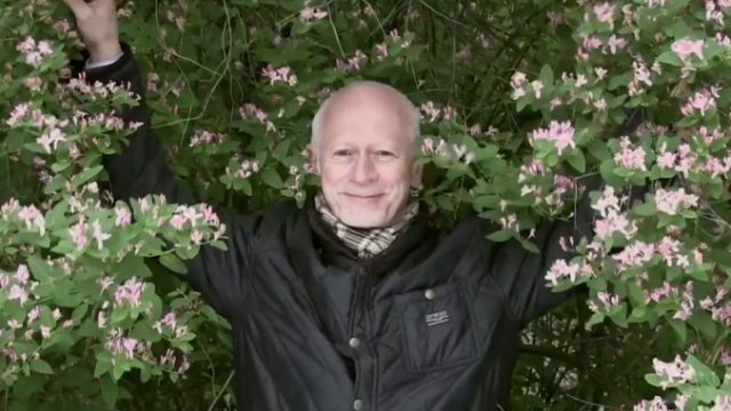 "Nie mów Boniemu nie, bo nie" stało się hitem sieci. Bardzo złym hitem.