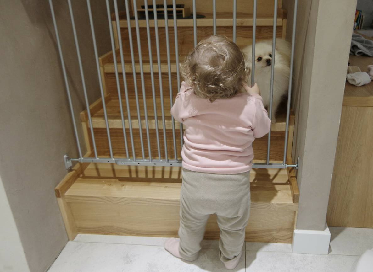 Pies to nie zabawka dla dziecka. Mam dosyć oglądania cierpiących psów