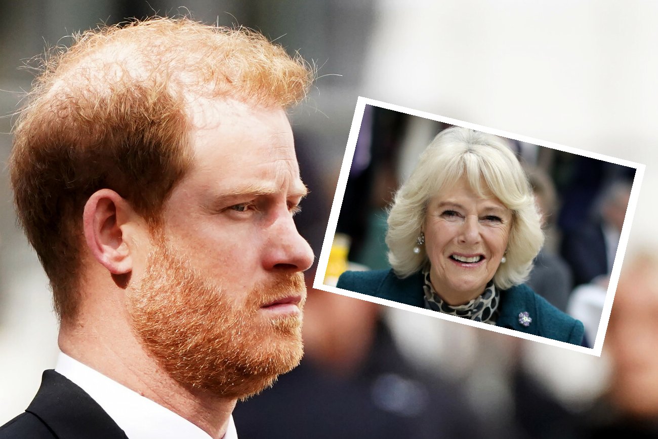 Książę Harry wymyślił rozwiązanie. Camilla aż "opluła się herbatą"
