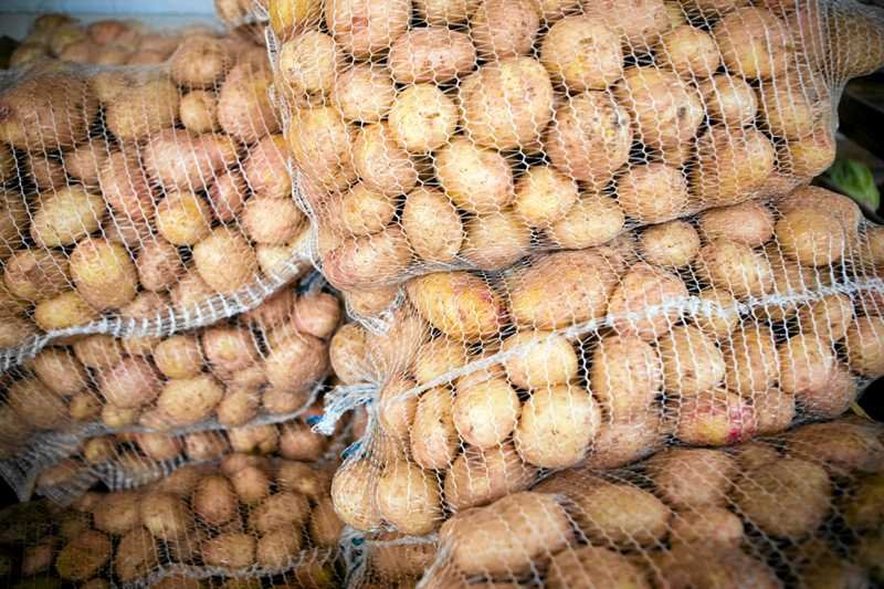 Inwestycja w ziemniaki to równie dochodowy interes, jak inwestycja w złoto?