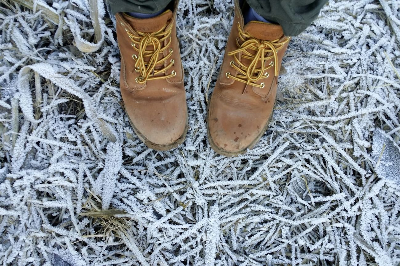 Uwaga, do Polski nadciągają przymrozki