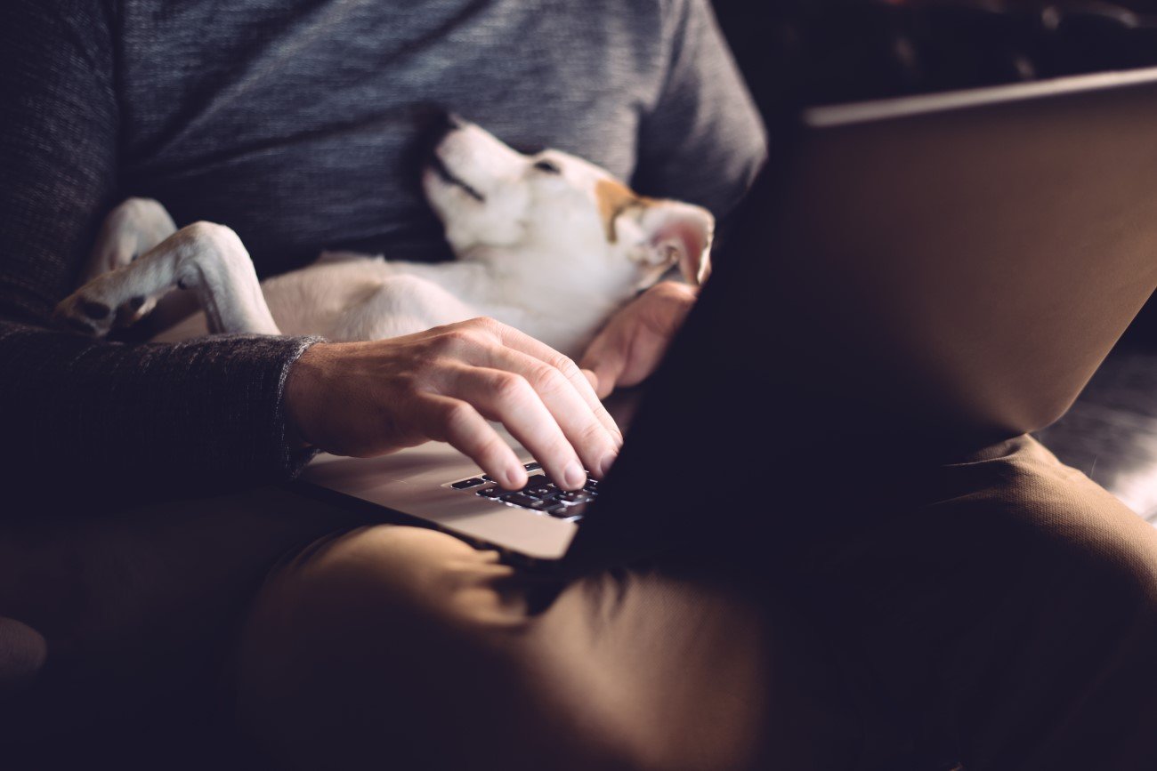 Trudny quiz o zwierzętach – czas start