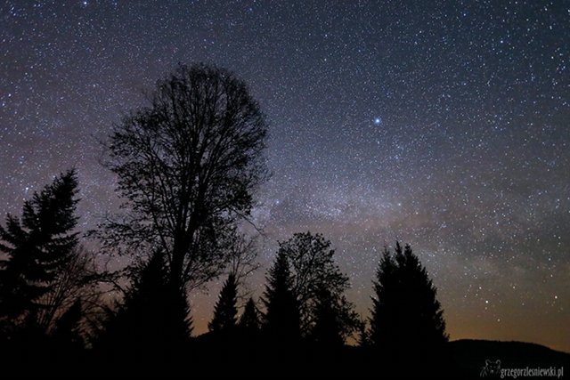 Fot. Grzegorz Leśniewski / [url=https://www.facebook.com/DzienDobryBieszczady] Facebook Dzień Dobry Bieszczady [/url]