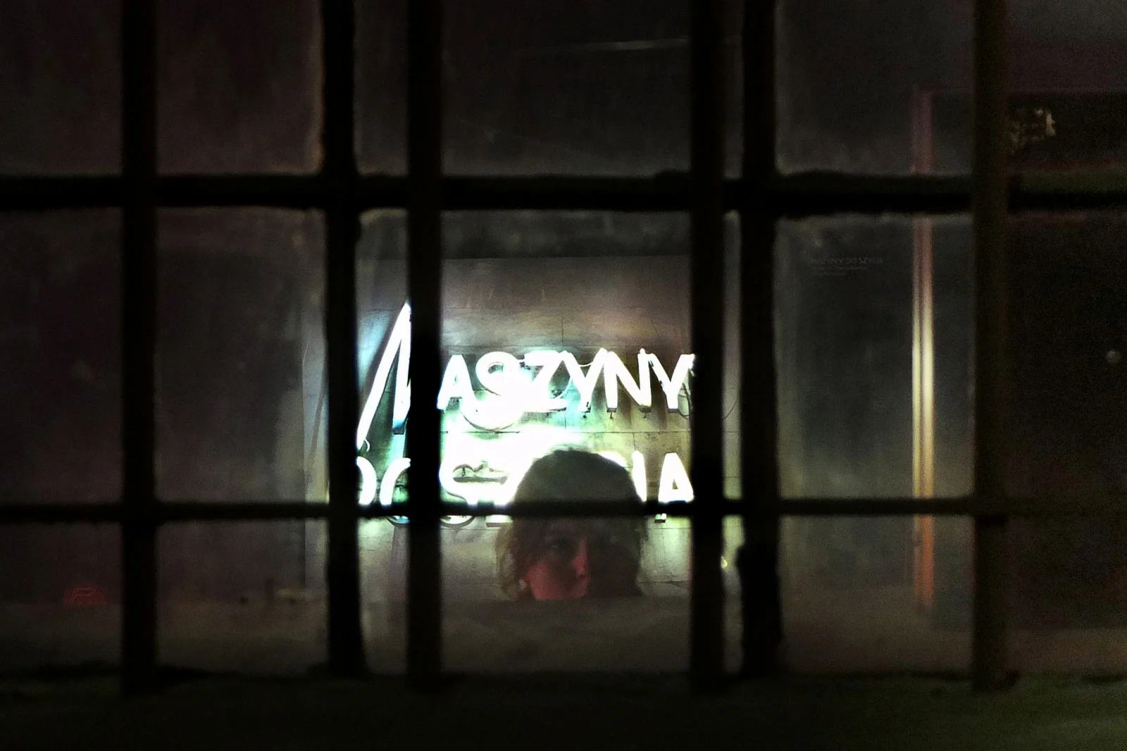 Otwarcie Muzeum Neonów w Noc Muzeów, maj 2012 r.