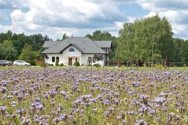 Brzozowy dworek w województwie Lubelskim