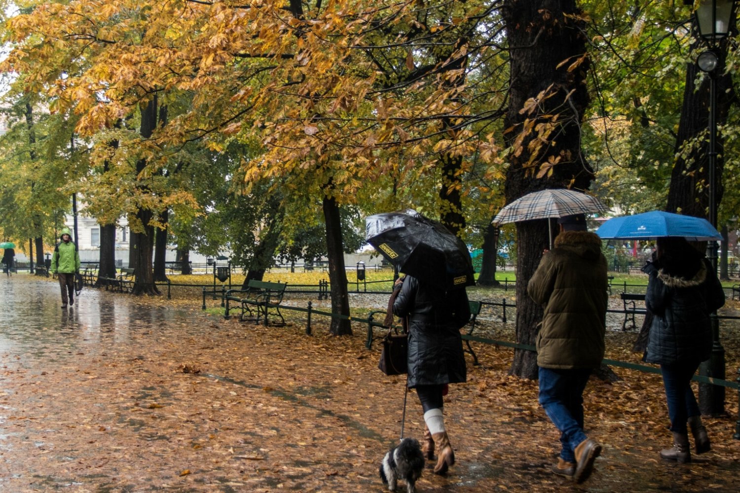 Pogoda. Załamanie pogody weekend. Będzie zimno i deszczowo.