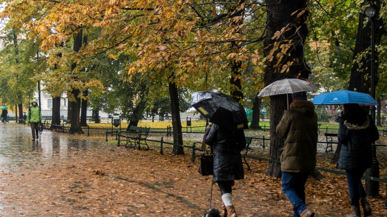 Pogoda. Załamanie pogody weekend. Będzie zimno i deszczowo.