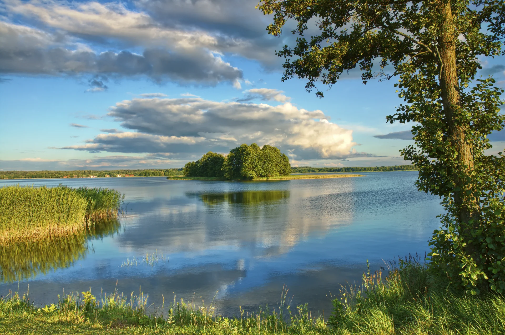 Mazury
