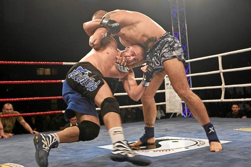 Gale MMA są coraz popularniejsze